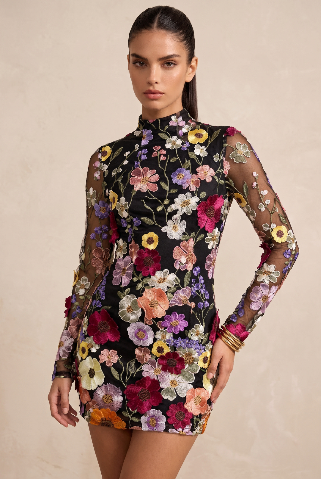 SOLACE CHICFloral Embroidered Sheer Mesh Open Back Mini Dress