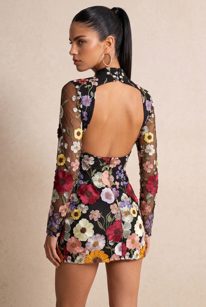 SOLACE CHICFloral Embroidered Sheer Mesh Open Back Mini Dress