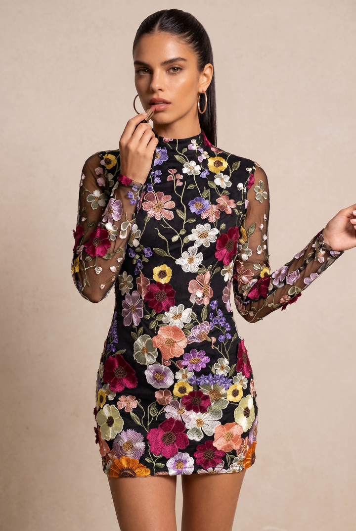 SOLACE CHICFloral Embroidered Sheer Mesh Open Back Mini Dress