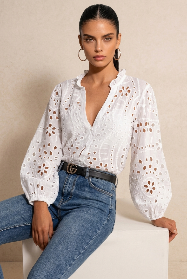 Eyelet Embroidered V Neck Long Sleeve Blouse
