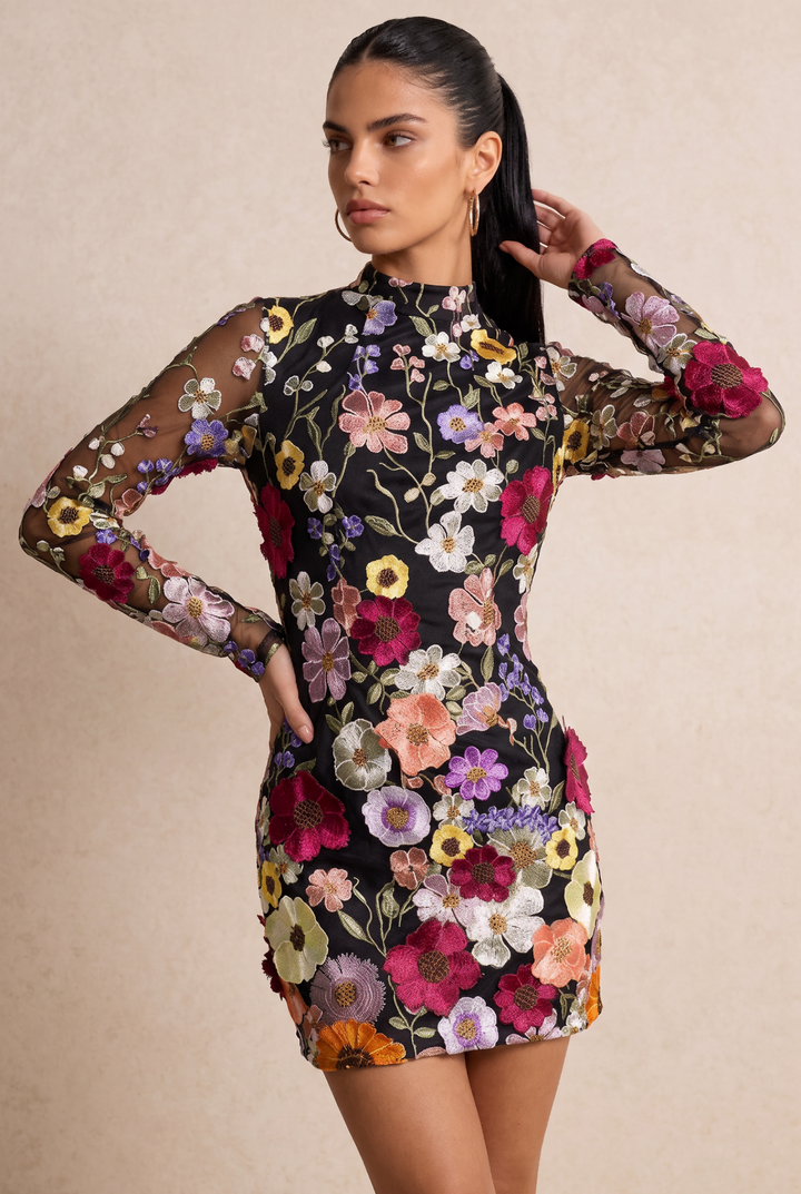 SOLACE CHICFloral Embroidered Sheer Mesh Open Back Mini Dress