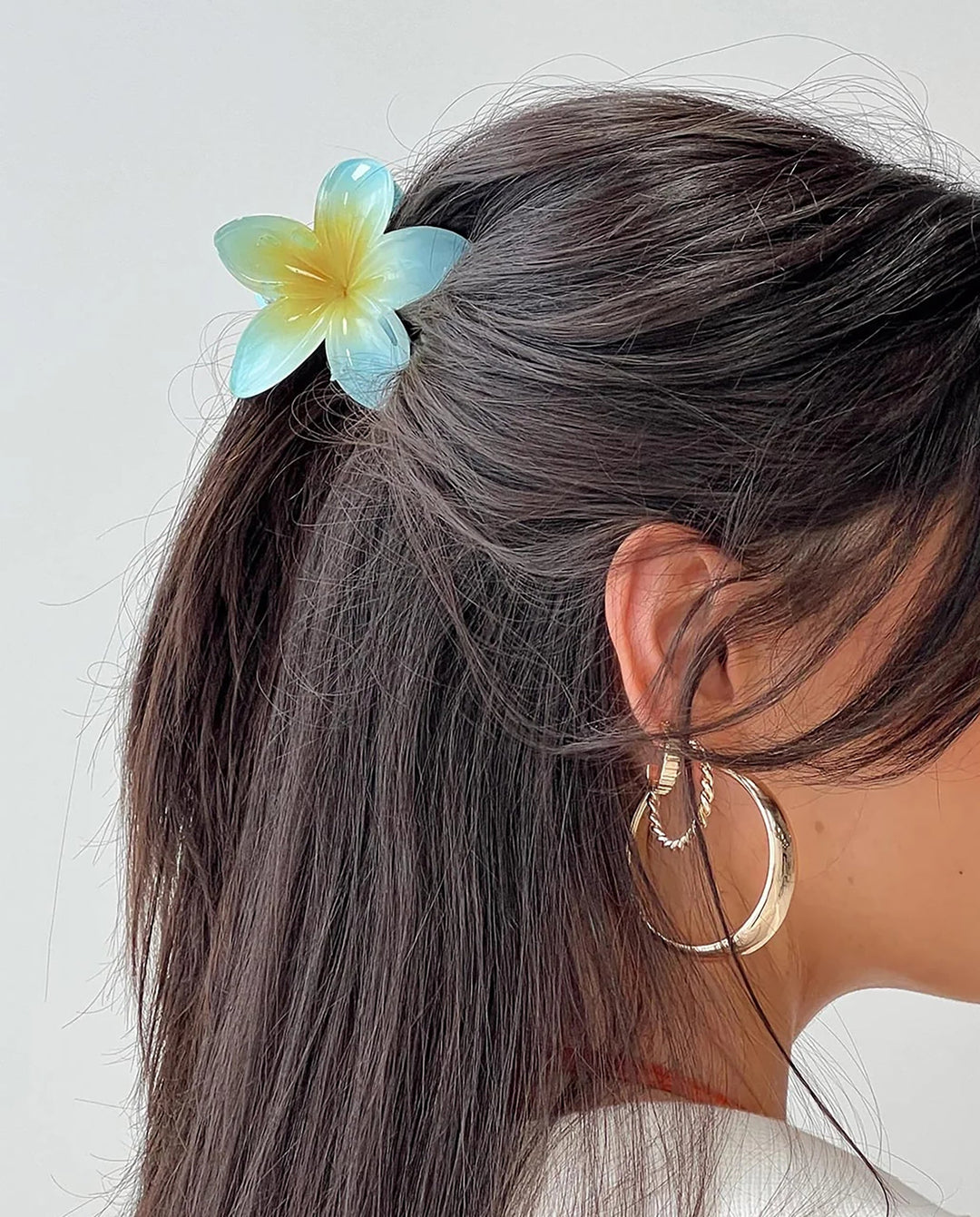 SOLACE6 Pcs Gradient Plumeria Flower Hair Claw Clips Multicolor Set