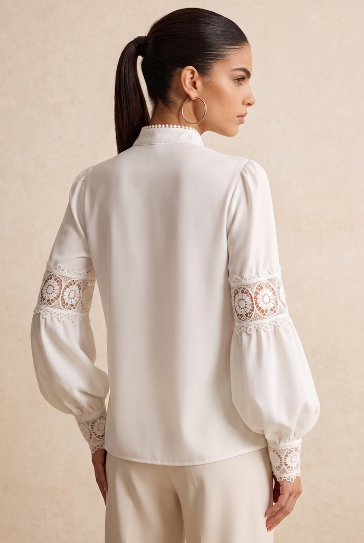 Lace Panel Stand Collar Puff Long Sleeve Blouse