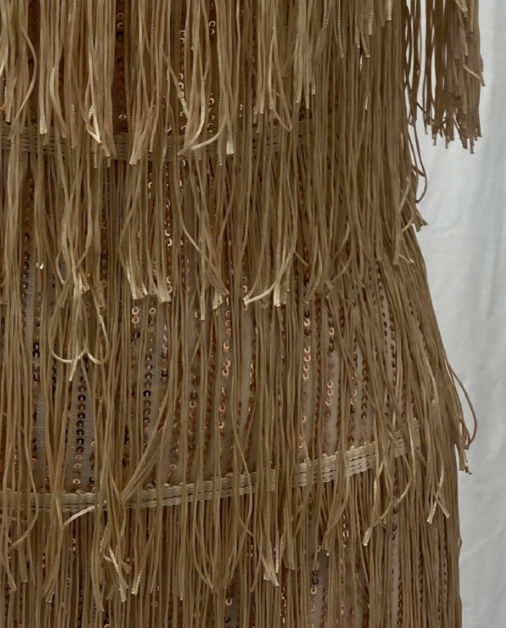 Champagne Fringe Feather Trim Spaghetti Strap Bohemian Festival Wear Mini Dress