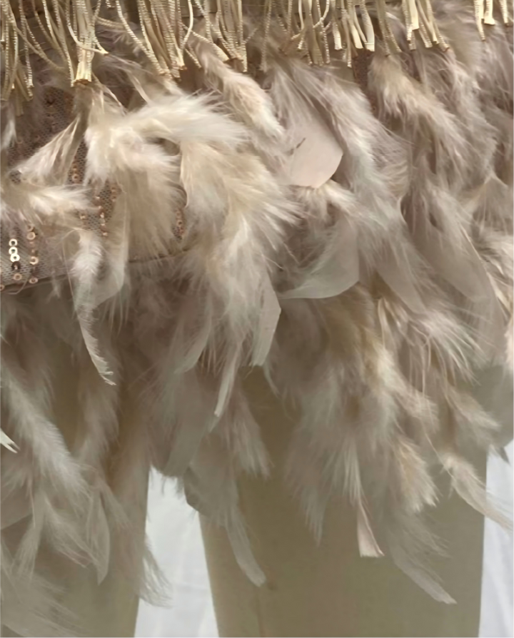Champagne Fringe Feather Trim Spaghetti Strap Bohemian Festival Wear Mini Dress