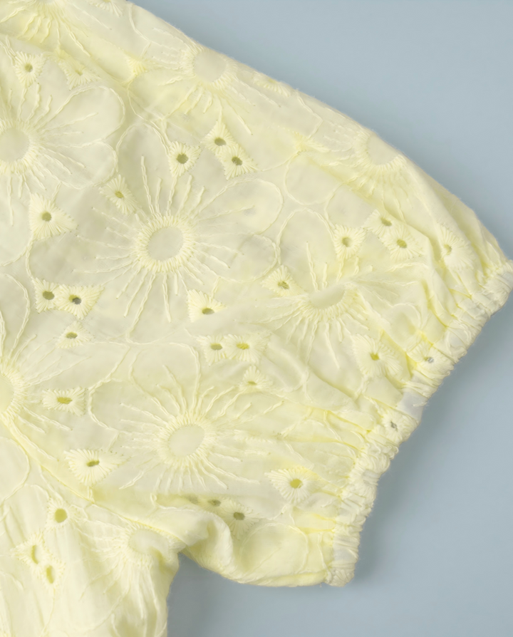 Pale Yellow Eyelet Embroidery Puff Sleeve V Neck Mini Dress