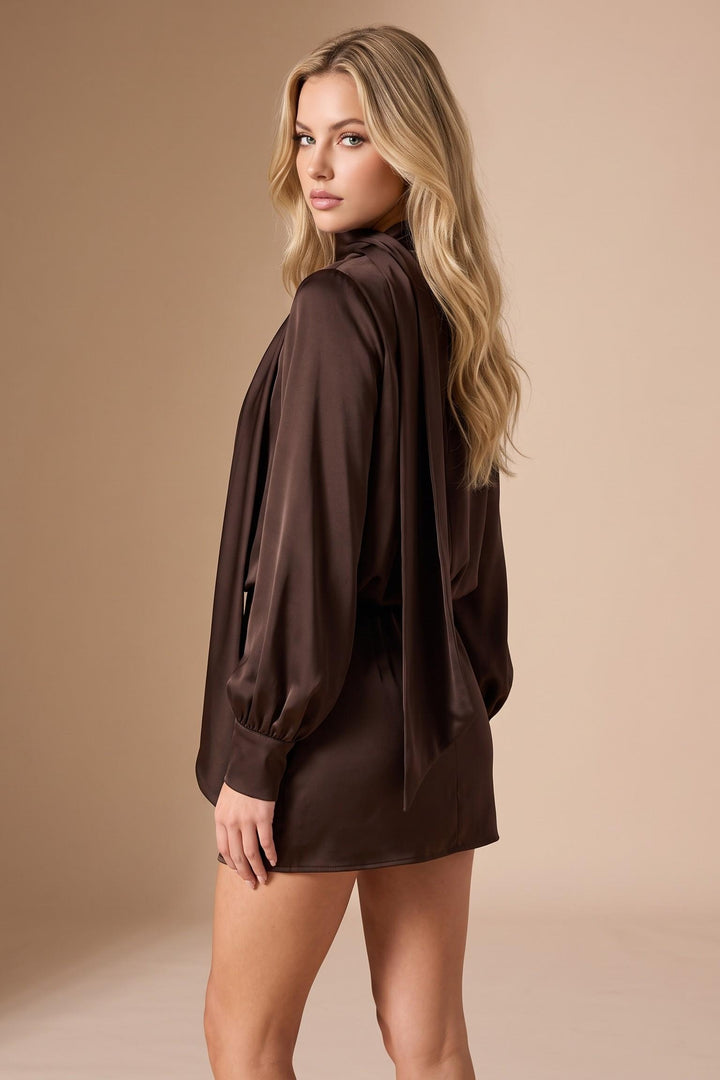 Satin Scarf Neck Long Sleeve Mini Dress
