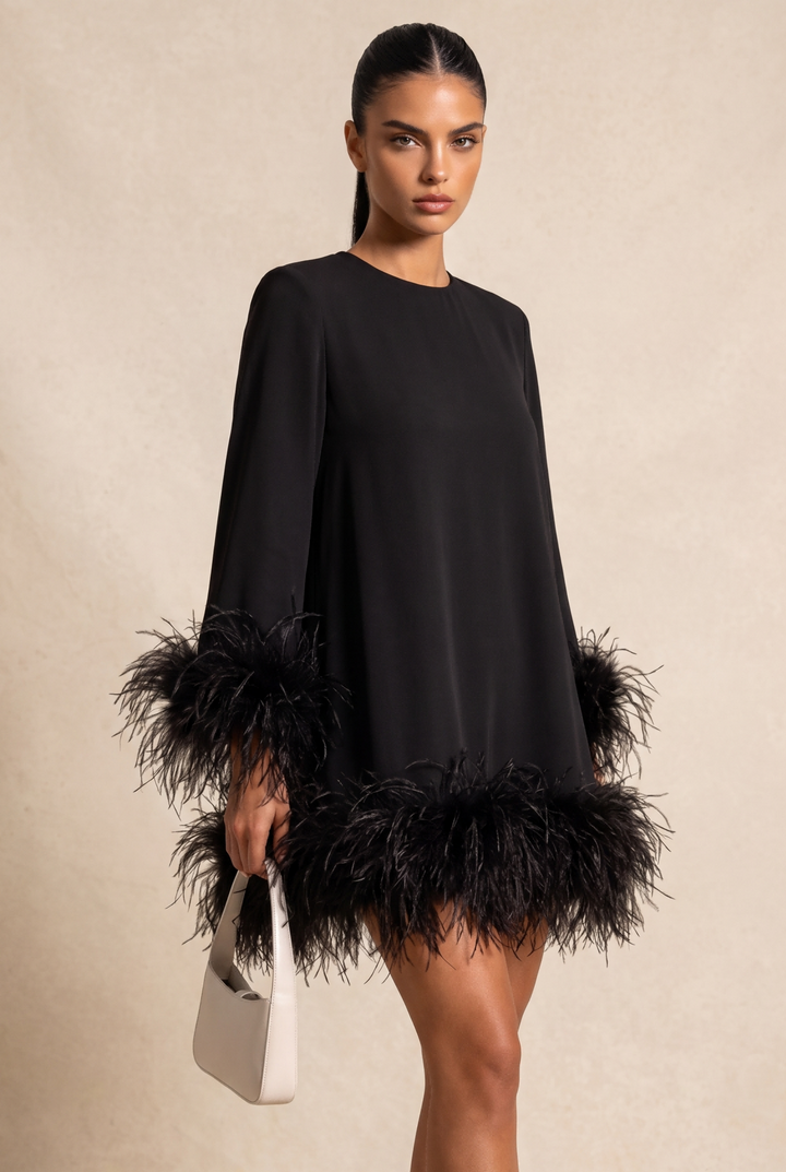 Black Feather Trim Long Sleeve Straight Mini Dress