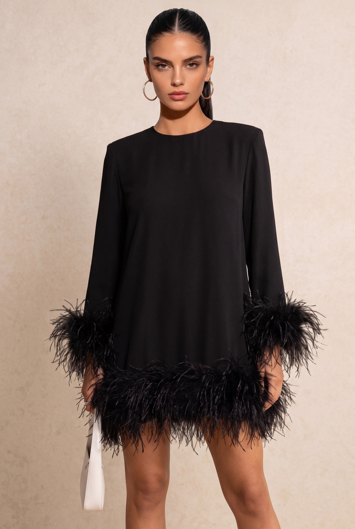 Black Feather Trim Long Sleeve Straight Mini Dress