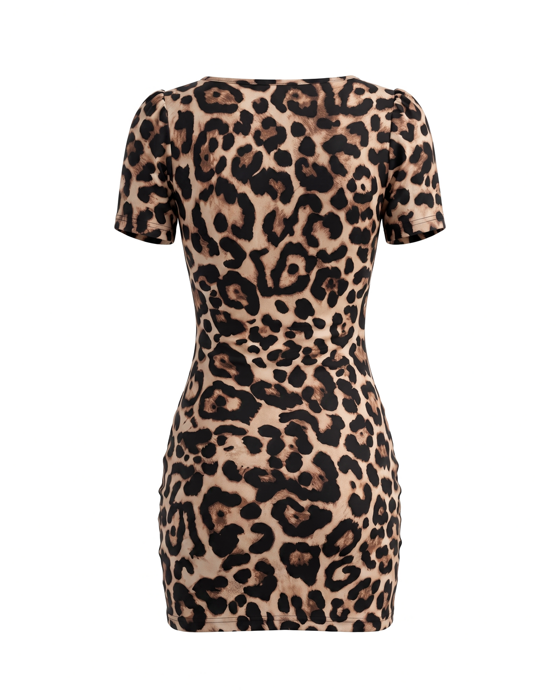 Leopard Print Ruched Mesh Fabric Bodycon Mini Dress