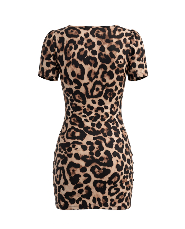 Leopard Print Ruched Mesh Fabric Bodycon Mini Dress
