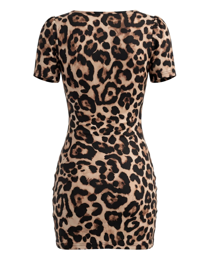 Leopard Print Ruched Mesh Fabric Bodycon Mini Dress